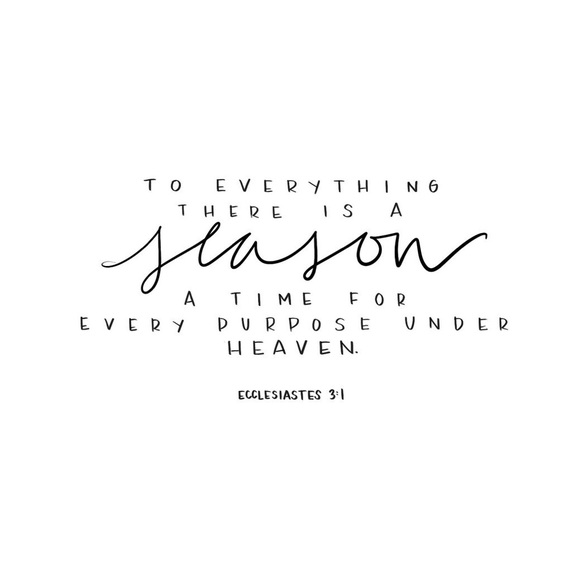 Welcome - Picture 3 of 8